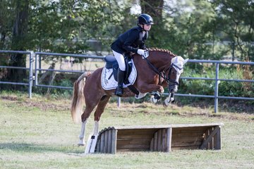 Bild 132 - Pony Akademie Turnier